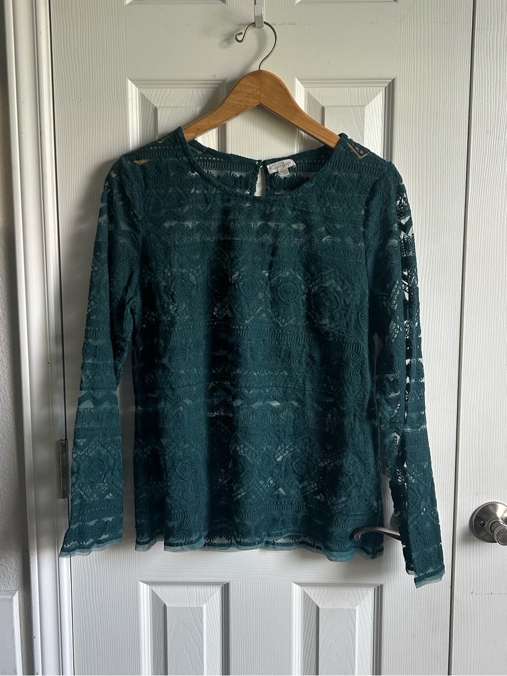 Garnet Hill green lace sonata embroidered long sleeve layering blouse